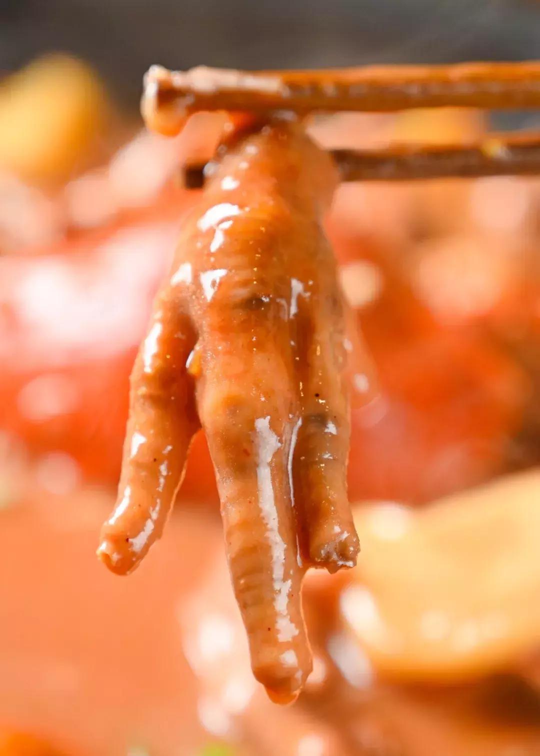 鸡煲界中的LV，澳洲龙虾做配菜，嗦一口就管不住嘴！