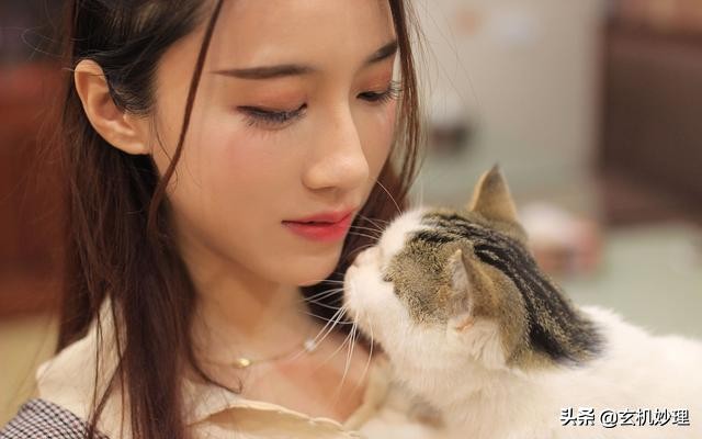 1963年2月12日出生属兔2022年运势,明日生肖兔财运方位