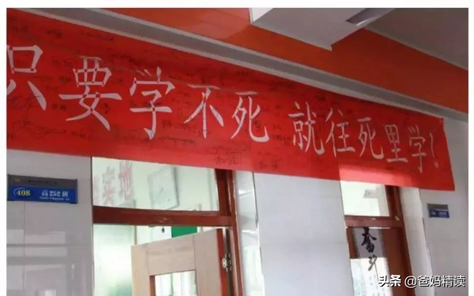 每天看着孩子进步,每天进步一点点的娃