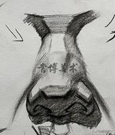 素描入门零基础教程人像鼻子,素描人物头像鼻子详细教程