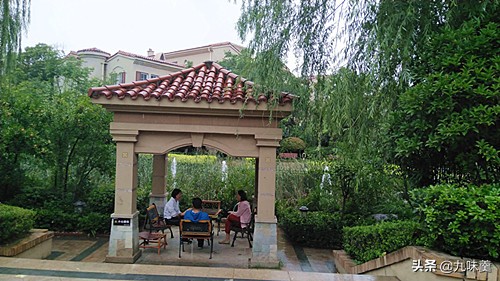 中国天然氧吧之城郑州,郑州周边森林氧吧