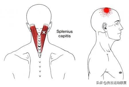 26张图教你提高效率,30张治愈效果图