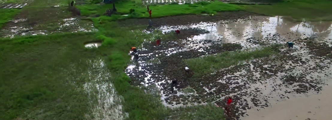 非洲人的捕鱼绝技，一天能捕7吨鱼，出海全凭肉眼找鱼