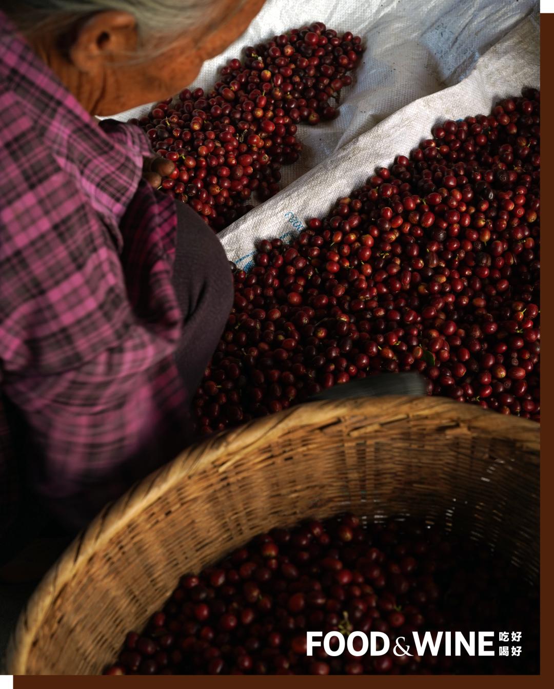 如何点一杯咖啡显得专业,如何点一杯美式咖啡