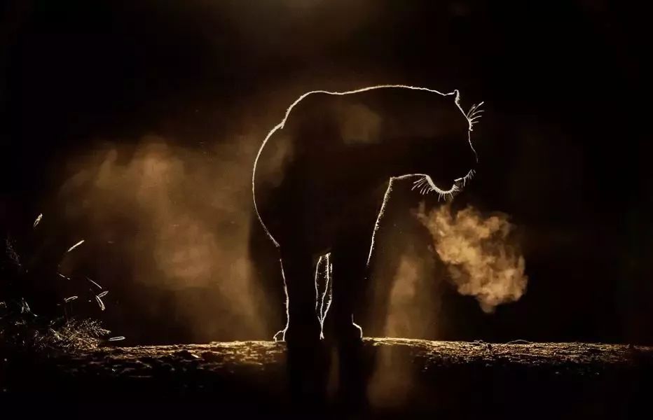 设计师抄袭和逆袭区别,新手怎么抄袭自己的设计