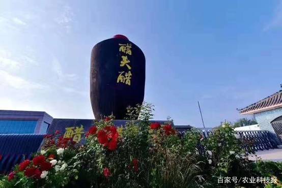 百年非遗老陈醋,醋百年古法传承