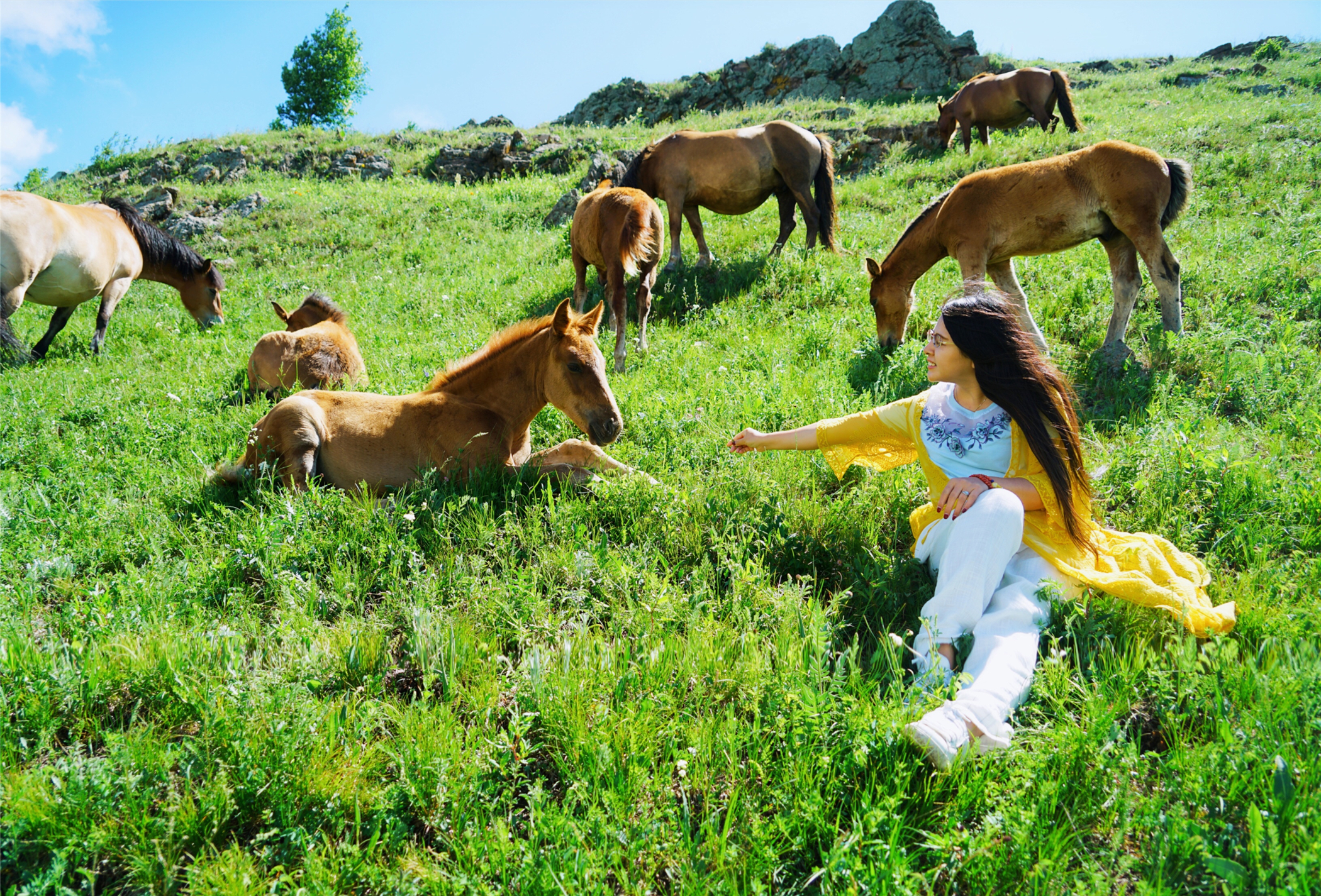 北京自驾避暑旅游攻略,2天一夜避暑胜地自驾游大盘点