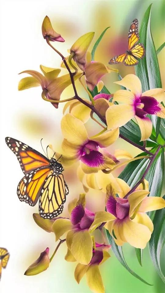 100个惊艳的美人盘点,中国最美的50个美人