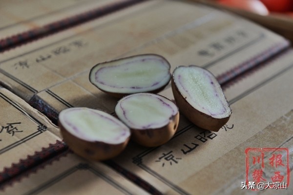 这就是灌篮3凉山黑鹰完整版,这就是篮球第三季凉山黑鹰队