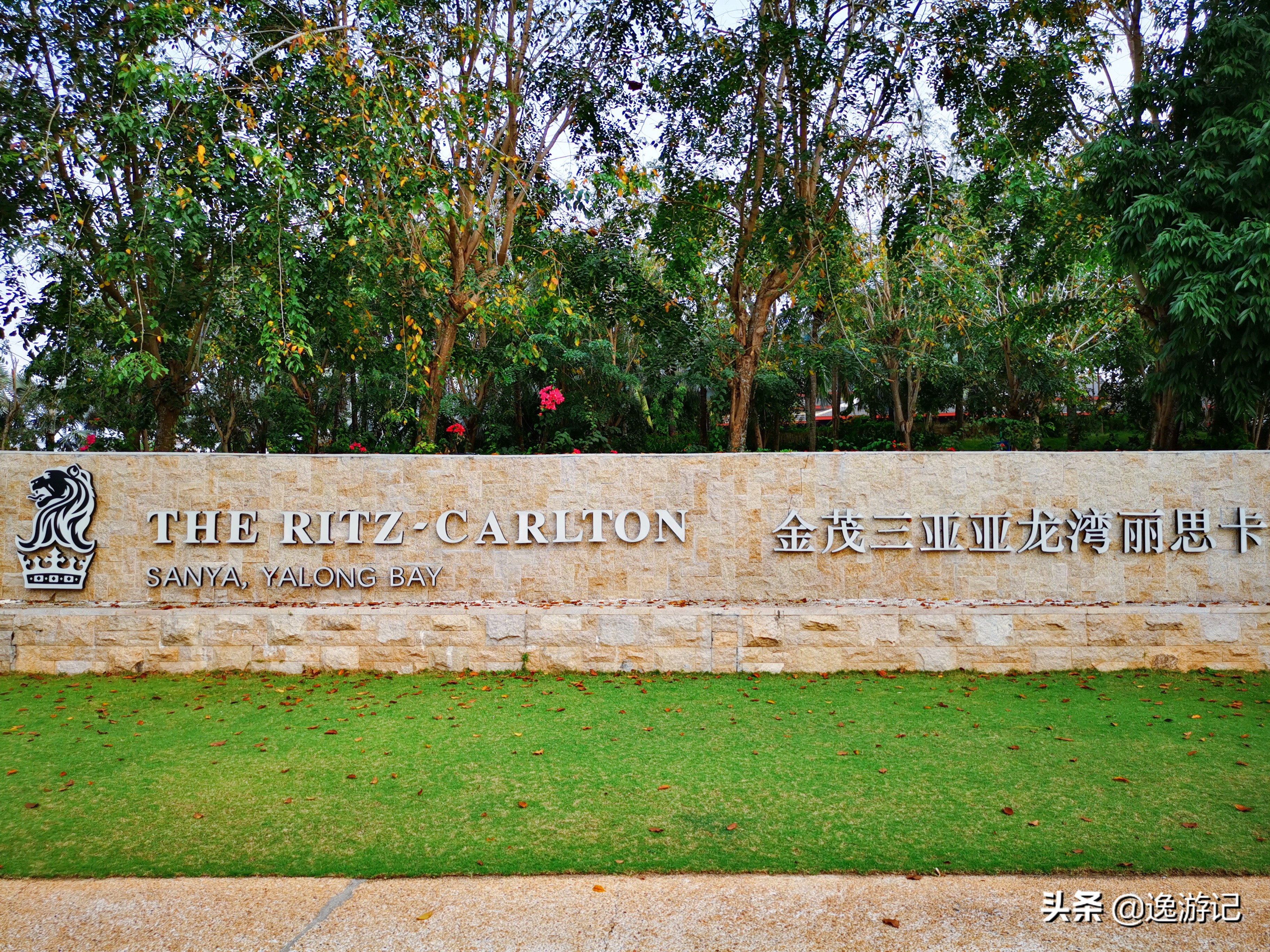 国内最佳丽思卡尔顿酒店,澳门丽思卡尔顿酒店哪个房间好