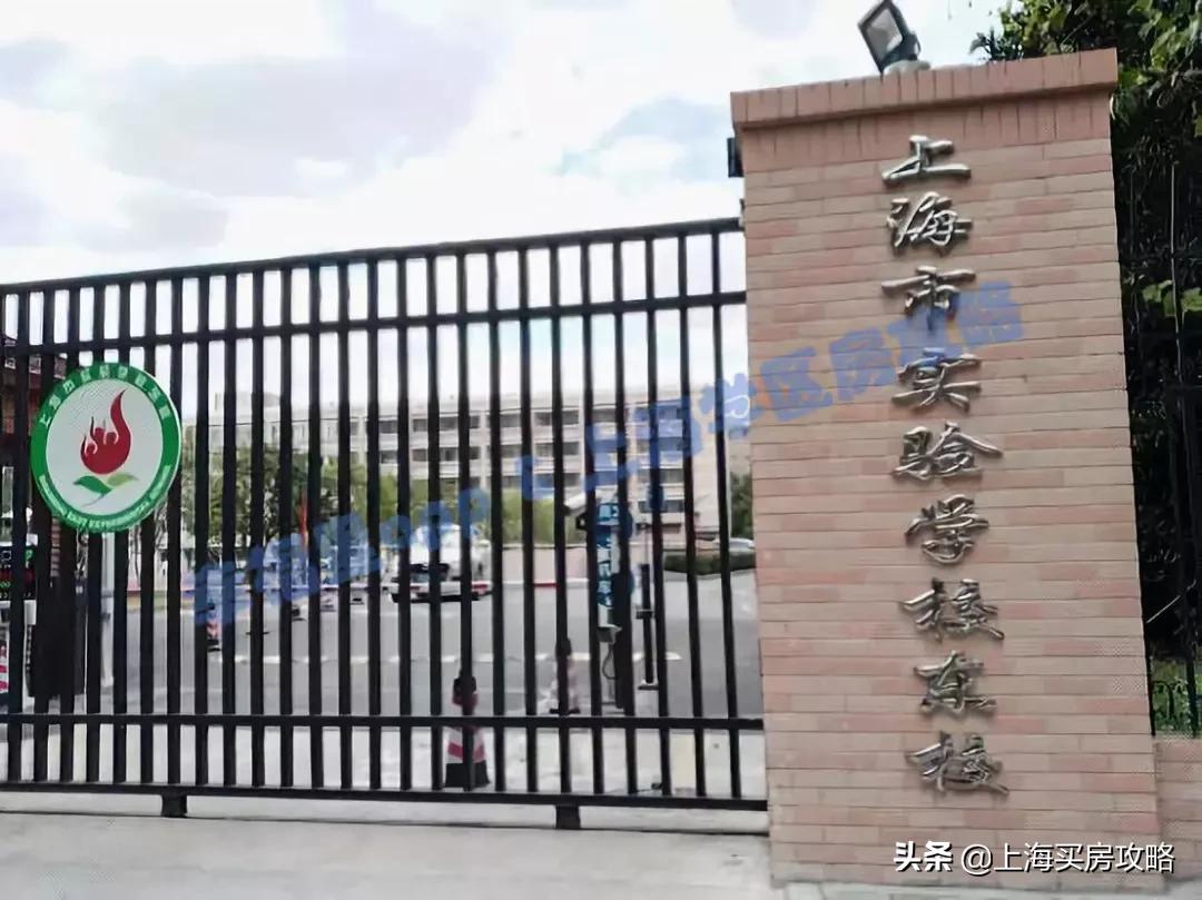 爱建园小区最好的楼盘,上海碧云爱建园复式