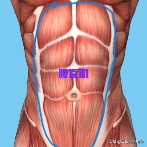 涨知识一招教你秒懂,涨知识减肥操