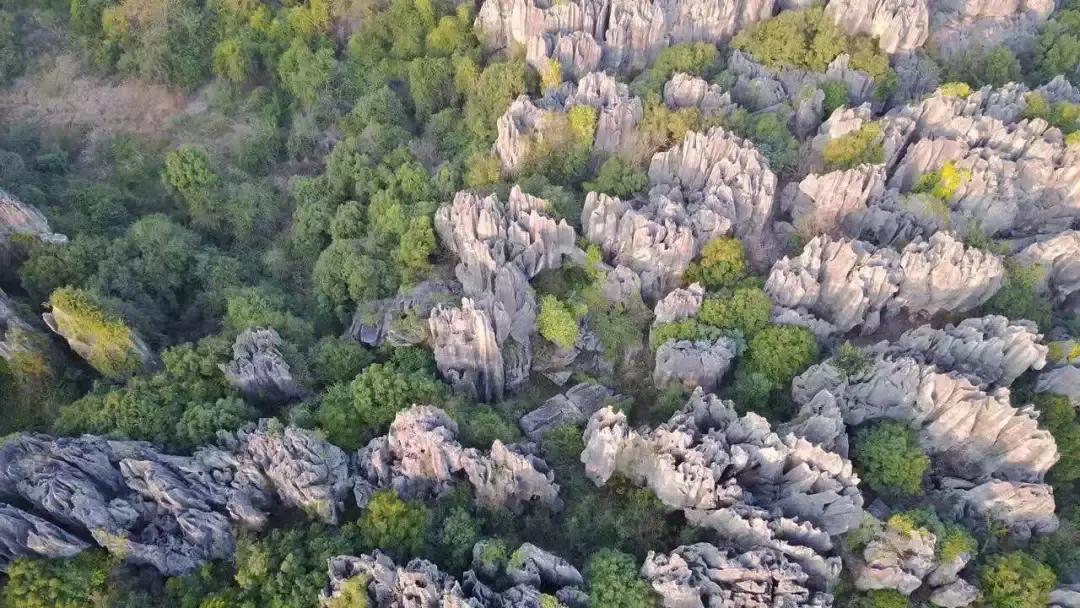 昆明石林景区值得去吗,昆明石林精华景点