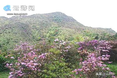盘点茂名40个好玩的景点，茂名旅游景点大全就在这里了