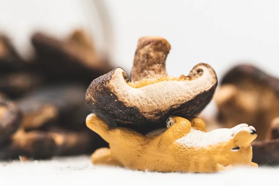 什么牌子的果蔬干最好,冻干果蔬干排行榜