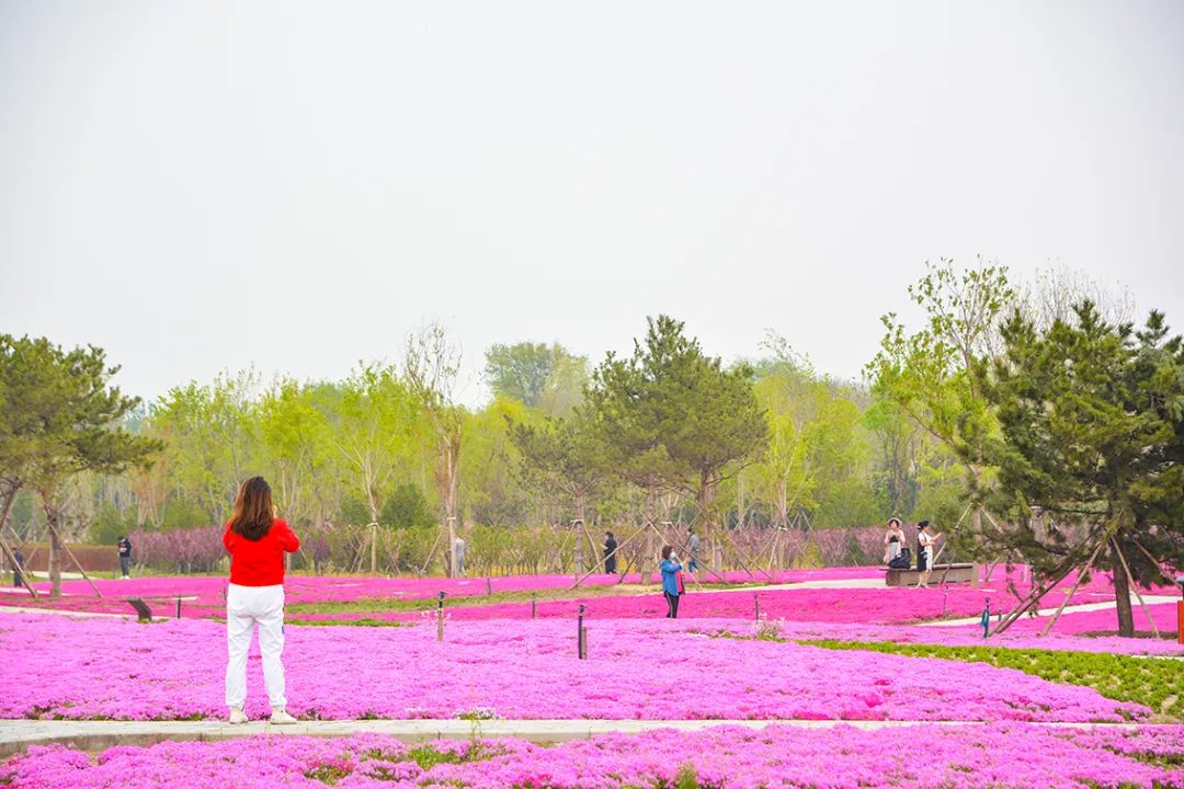 北京新开40个公园在哪里,北京十佳公园
