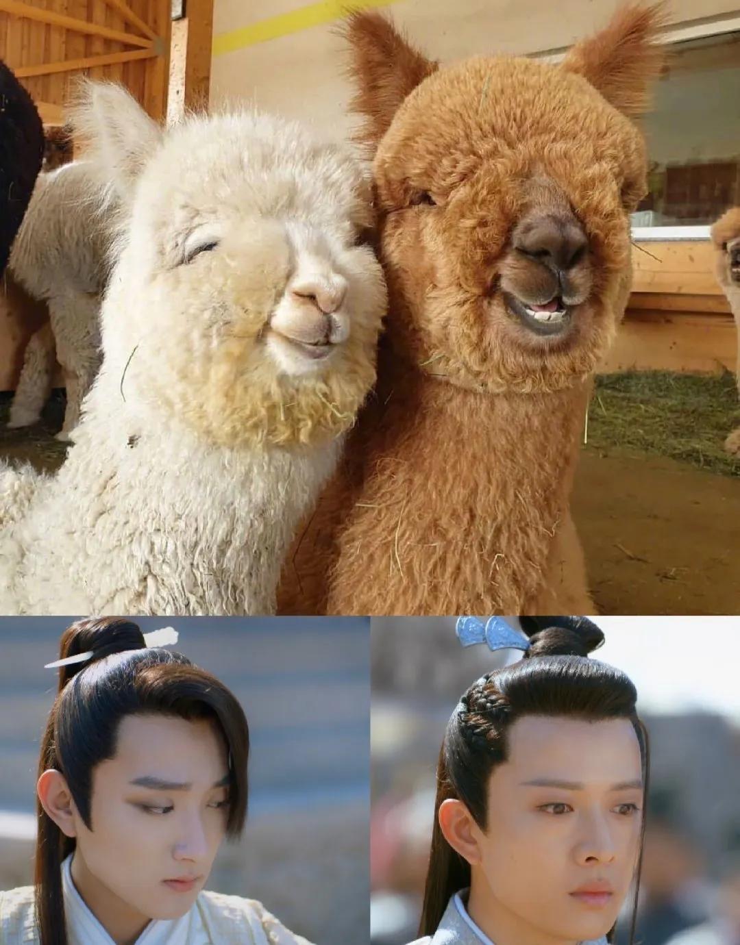 开篇就*身失**？雷剧如同网坑餐厅，满腔热情错付了