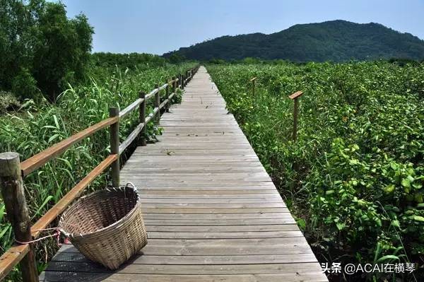 比渔女更能代表珠海的40个私密之地,看完立刻收藏