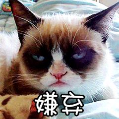 猫咪有很多口臭是什么原因,猫咪口臭是什么原因导致的