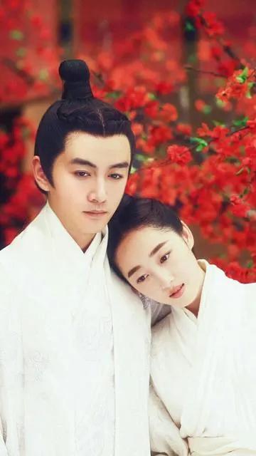 云巅之上傅皇后和皇上,云巅之上傅皇后全集