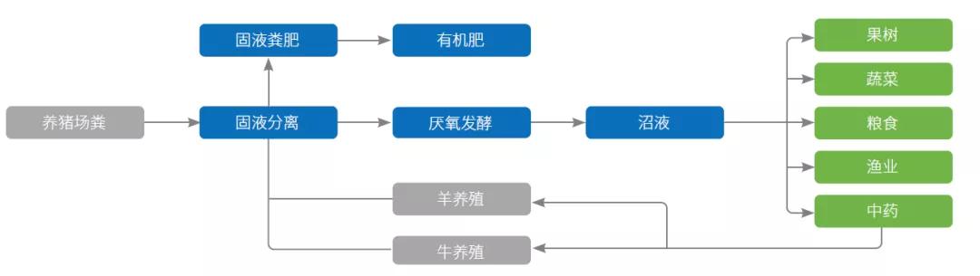 中医药助力乡村振兴,振兴中医药是国家战略