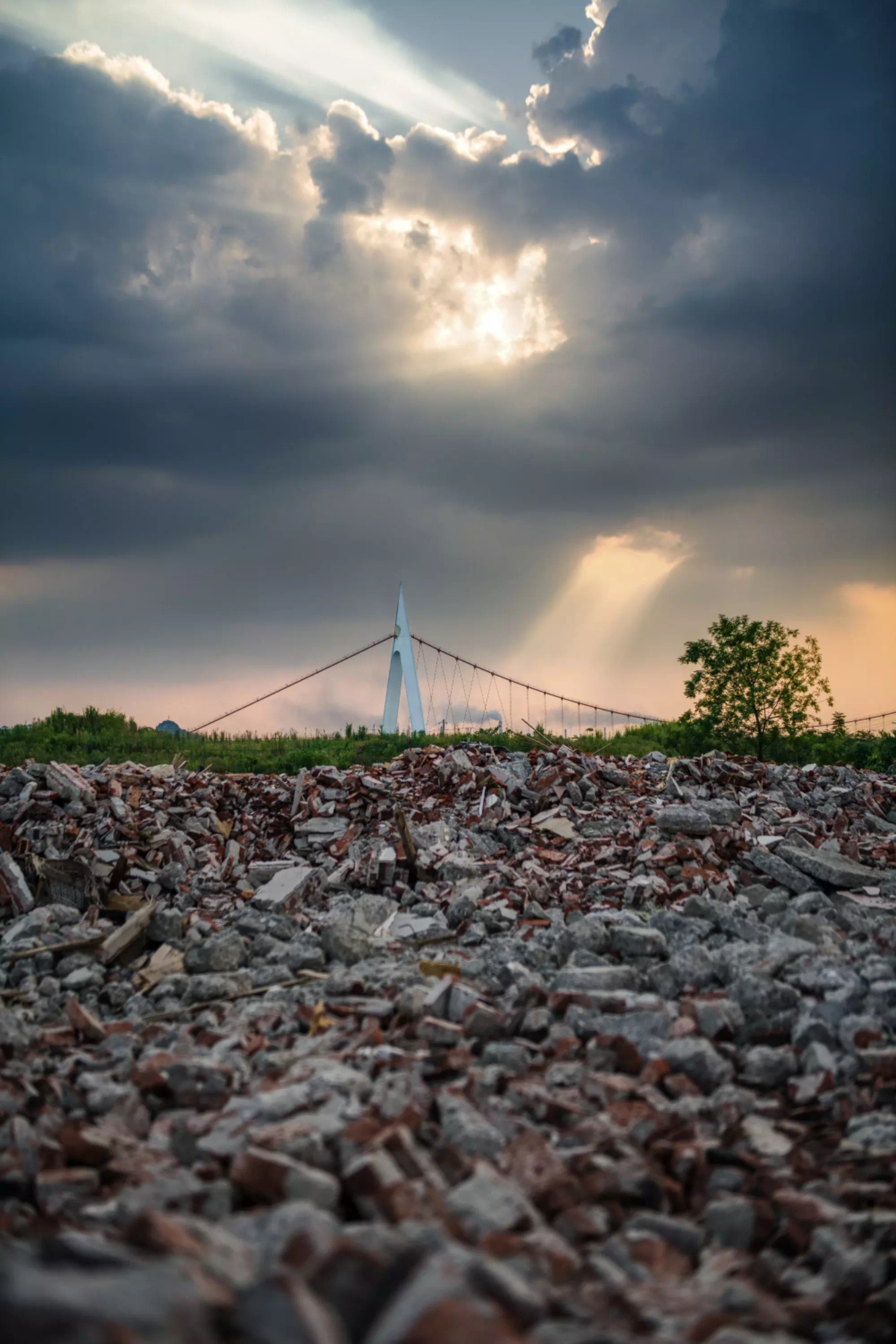 2020入门相机,2020年的相机图片