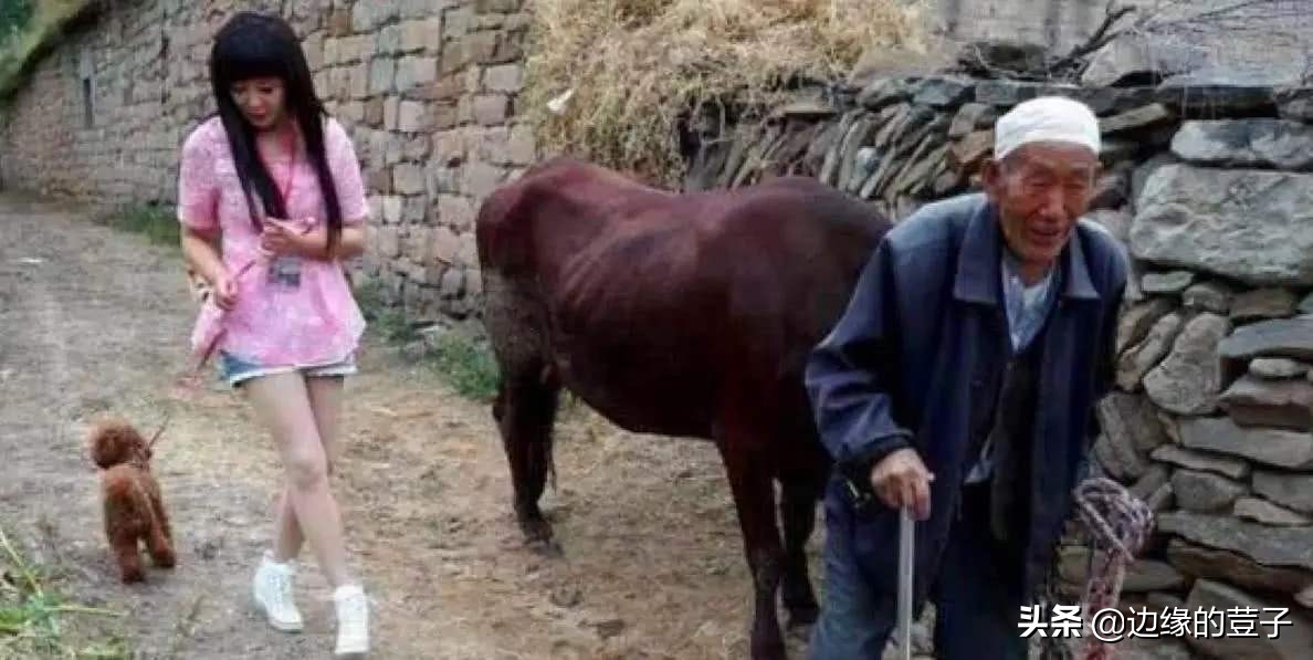 农村少奶奶现象为何增多,农村少奶奶真实现状