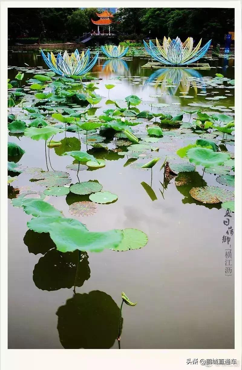 深圳60个最适合一日免费景点,暑假深圳旅游必去十大景点