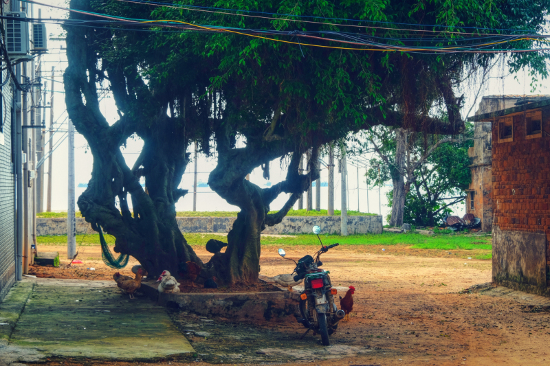 广东湛江旅游攻略赶海,湛江海边旅游攻略推荐地方