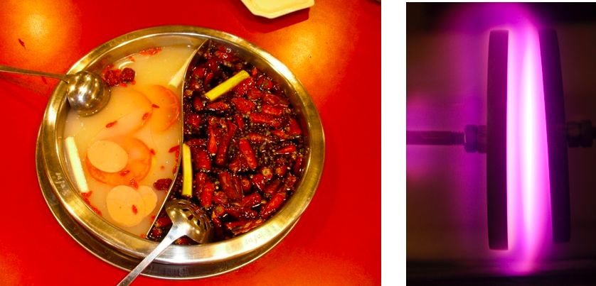 都在测温度，但到底什么是温度？｜贤说八道