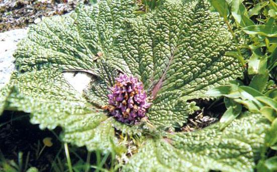 从身家800亿到负债累累的首富,富豪从白手起家到负债225亿