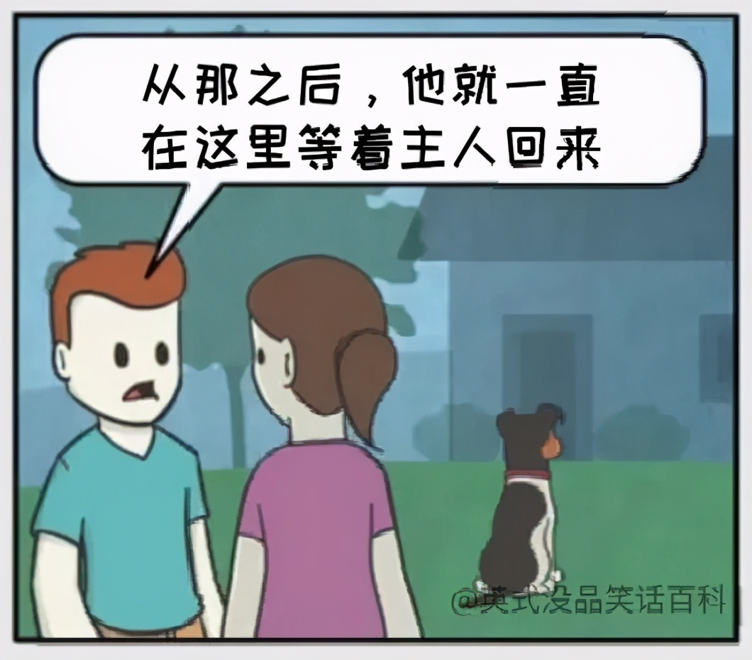 猫和铲屎官漫画全集,铲屎官和狗子的漫画