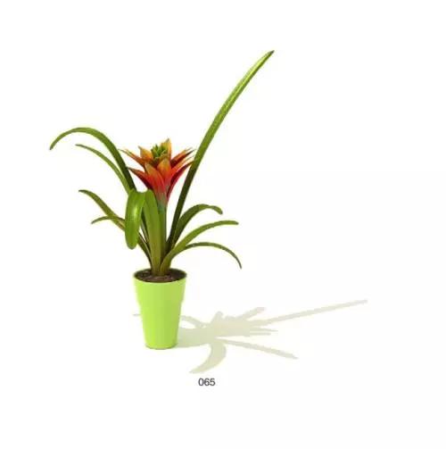 送给喜欢种花的人什么礼物,想养花却把花养死