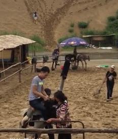 设计师脑洞大奇葩设计,脑洞大的设计师奇葩设计