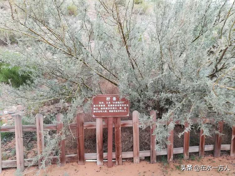 大西北之旅8天经历了春夏秋冬,大西北之行下集