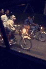 球不是这样踢滴搞笑图片,足球趣图搞笑图片