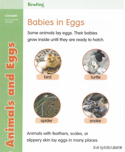 免费美国数学练习册,美国数学练习册免费下载