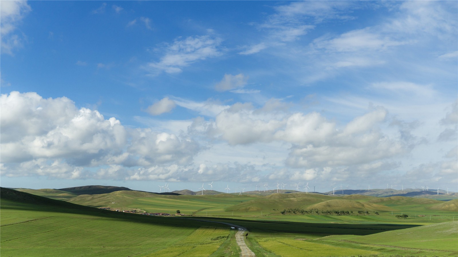 社区团购心理学深度解析,社区团购意味着什么