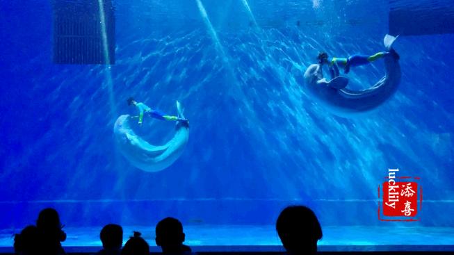 高铁出游度假,高铁出游攻略江浙沪