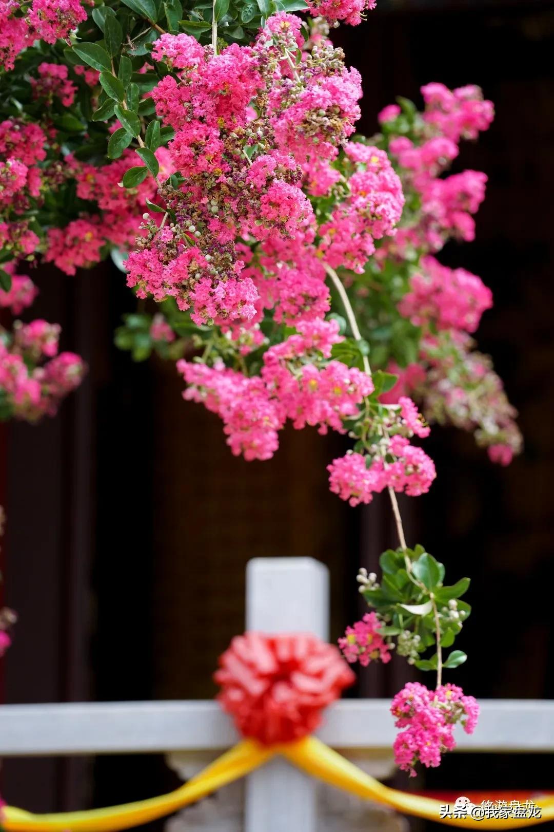 100张照片一百种幸福,100张图片带你去云南