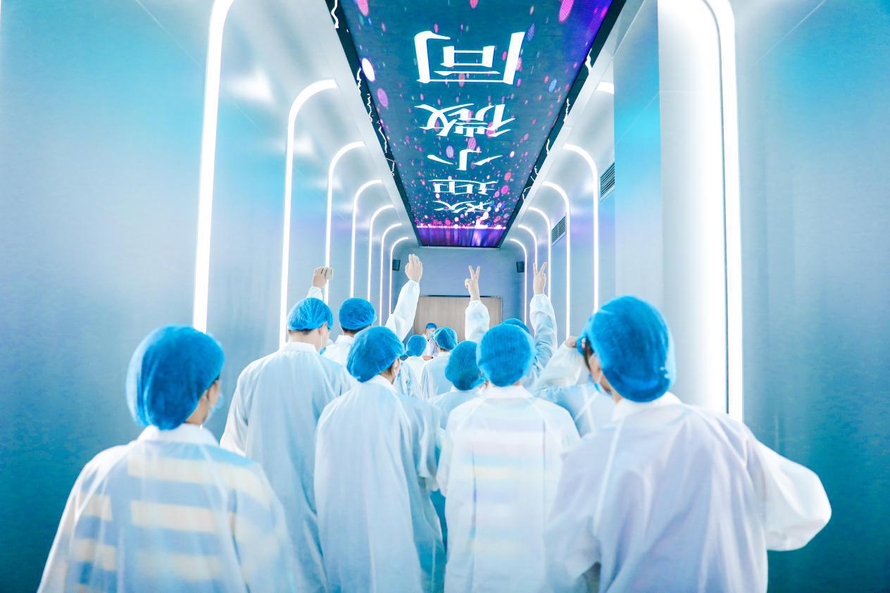 网红李好直播间,网红爆款代餐