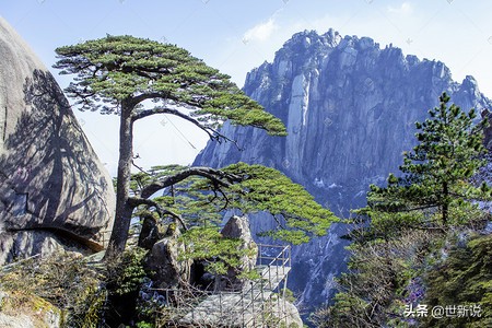 云雾缭绕的黄山真的很美,三上黄山