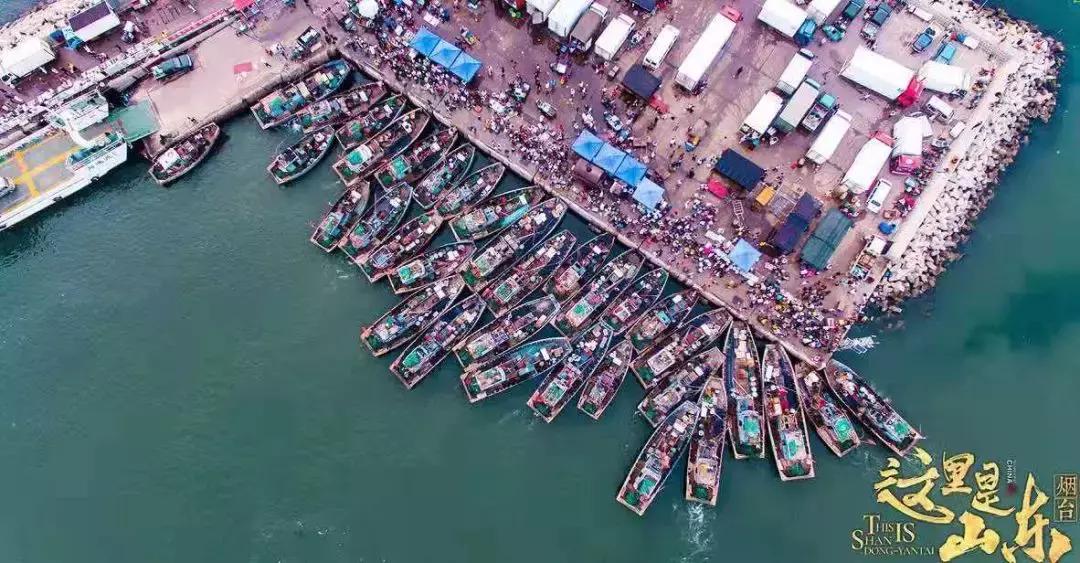 前方高能预警会怎样,前方高能预警提示