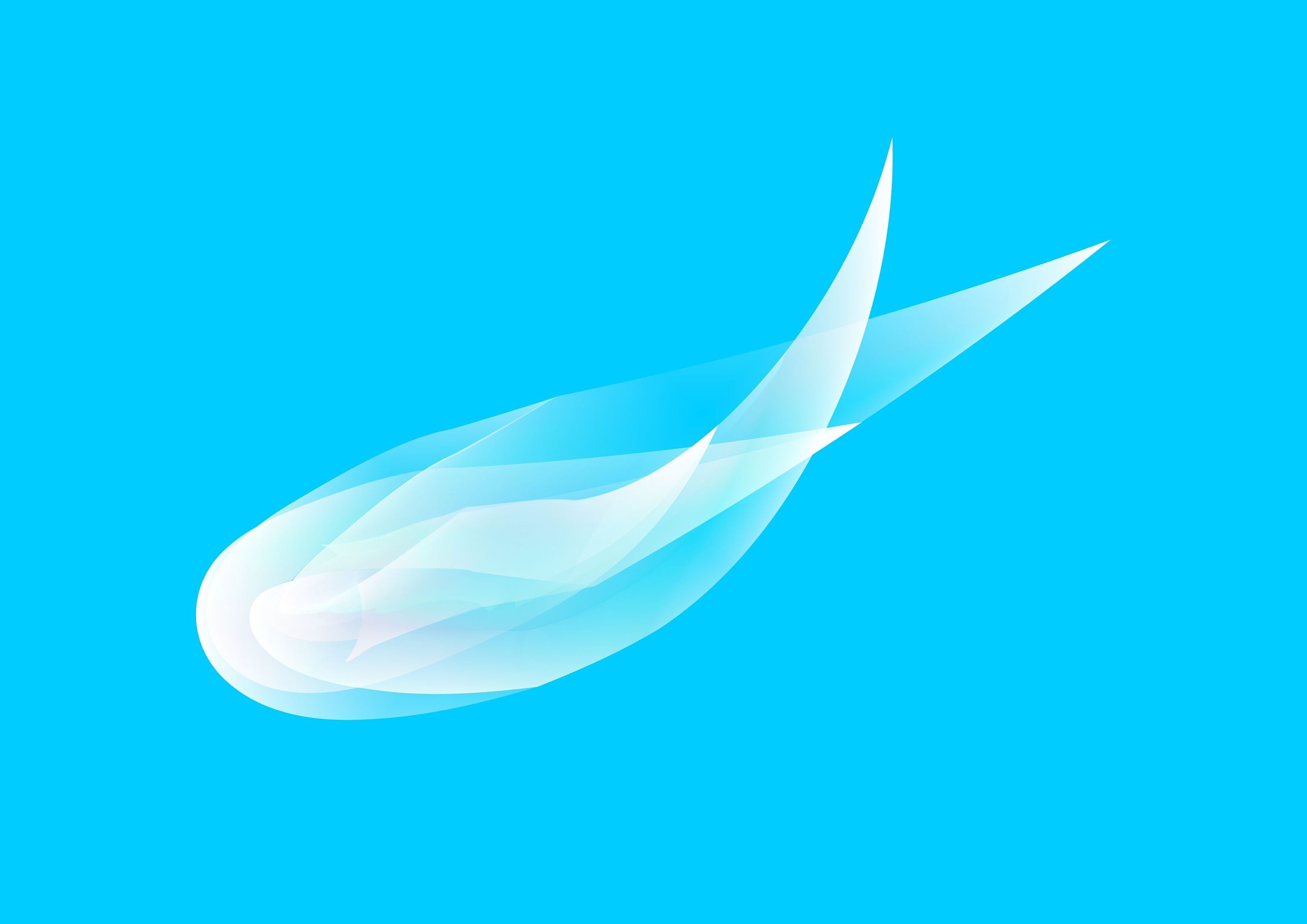 庄子说至人无己神人无功,庄子至人无梦