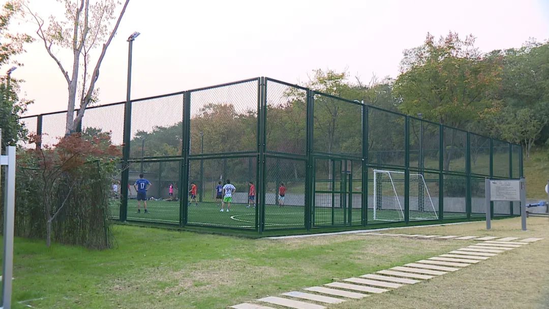 灯光球场地址,全球顶级灯光球场