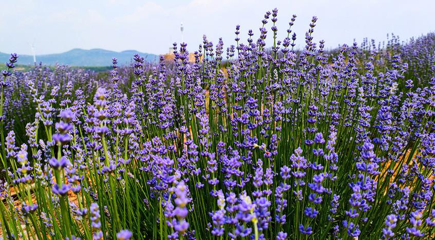 娼嶅潑鐢佃鍙伴煩鏅撶劧,闊╂檽鐒舵綅鍧婁富鎸佷汉