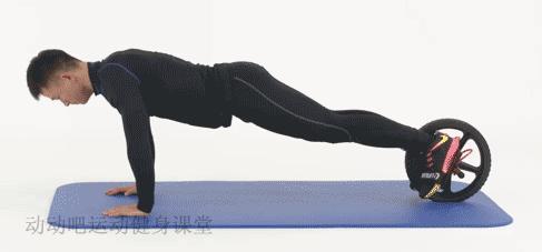 腹肌神器自回弹健腹轮在家就能练,练腹神器能不能练出腹肌