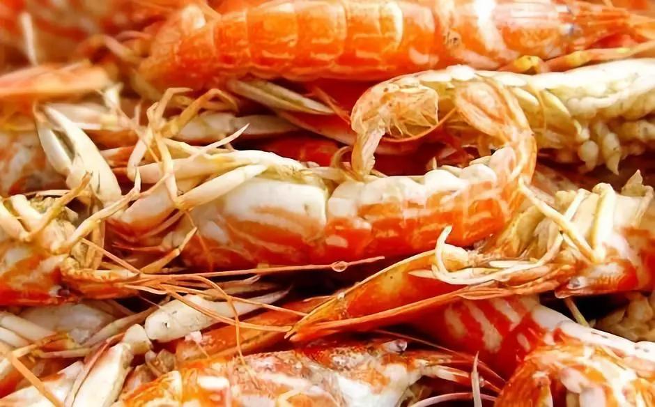 荣成最正宗的海鲜,荣成的小海鲜都有啥