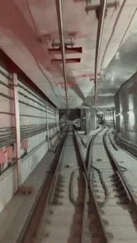 每日一笑看完你能不能忍住不笑,每日一笑看了让你笑