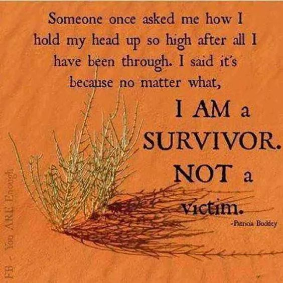 砰砰砰的书,砰砰砰书籍